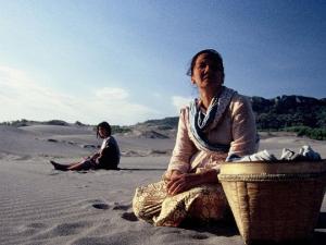 Daftar Film Indonesia yang Mendunia