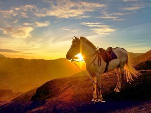 Spot Terbaik Menikmati Sunrise di Indonesia