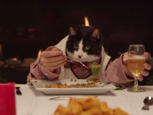 [Video] Tingkah Lucu Kucing & Anjing Saat Makan Malam Bersama
